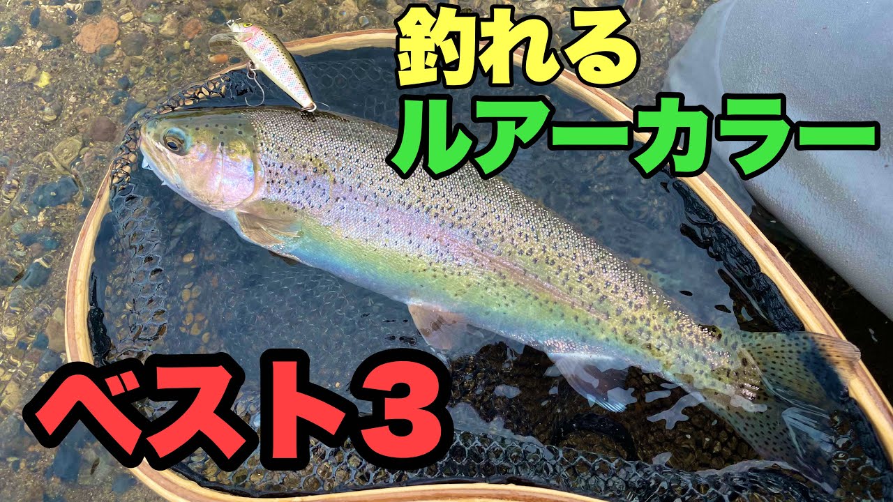 【この色でしょ！】トラウトルアーの最強カラー３選！ラパラのミノーで釣り！初心者釣り方