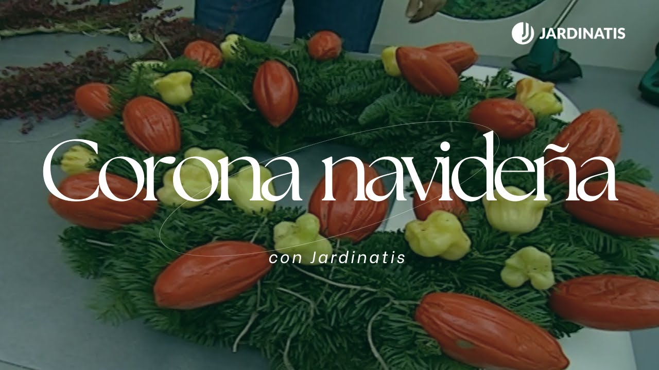 Ideas de coronas navide&ntilde;as &iexcl;Dale un toque natural a tu decoraci&oacute;n navide&ntilde;a!  // Jardinatis