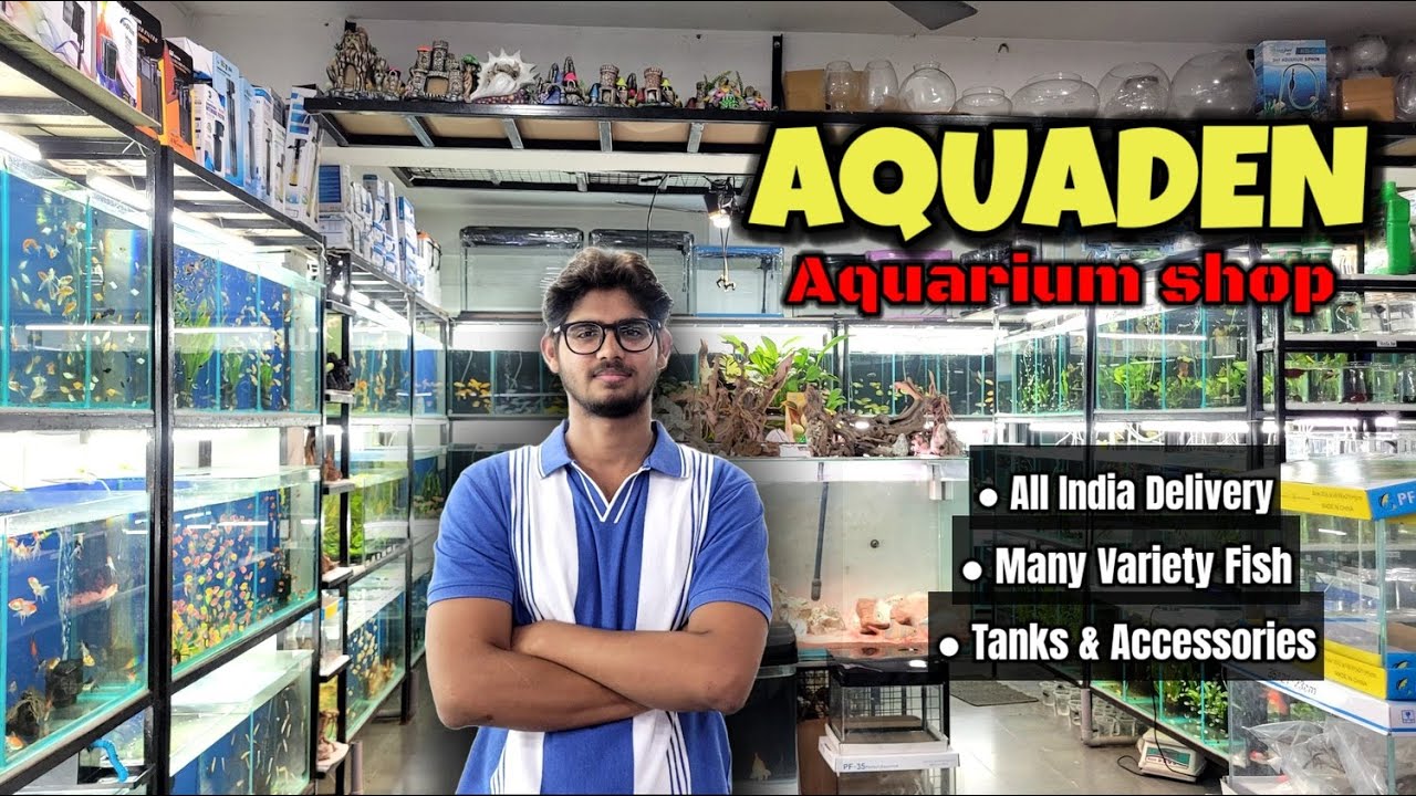 Aquaden - Aquarium Shop || All types of Fishes, Fish Tanks, Aquatic plants  #telugu #aquarium #viral