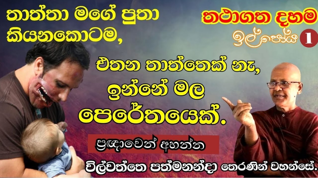 wilwaththe pathma theraniyo