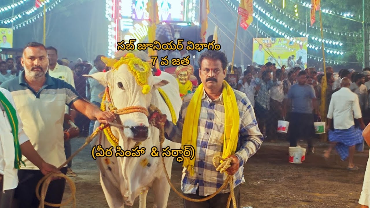 చిలకలూరిపేట సబ్ జూనియర్స్ విభాగం 7వ జత Rk బుల్స్. (వీర సింహ & డాన్ )