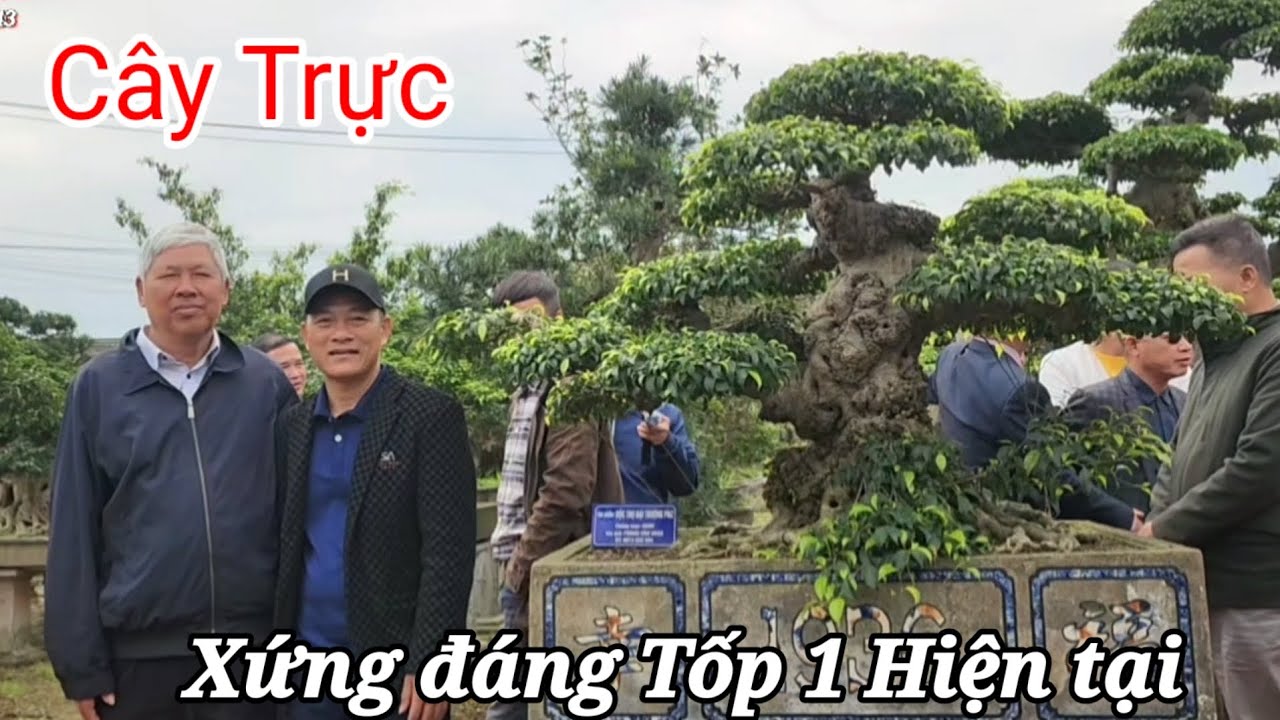 Lần đầu lộ diện một TP trực rất đẹp được các nghệ nhân đánh giá rất cao của anh Phùng Hoặc