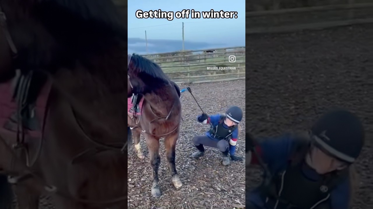 Getting off in winter 🥶 #horse #equine #equestrian #equinelife #winter #freezing #cold