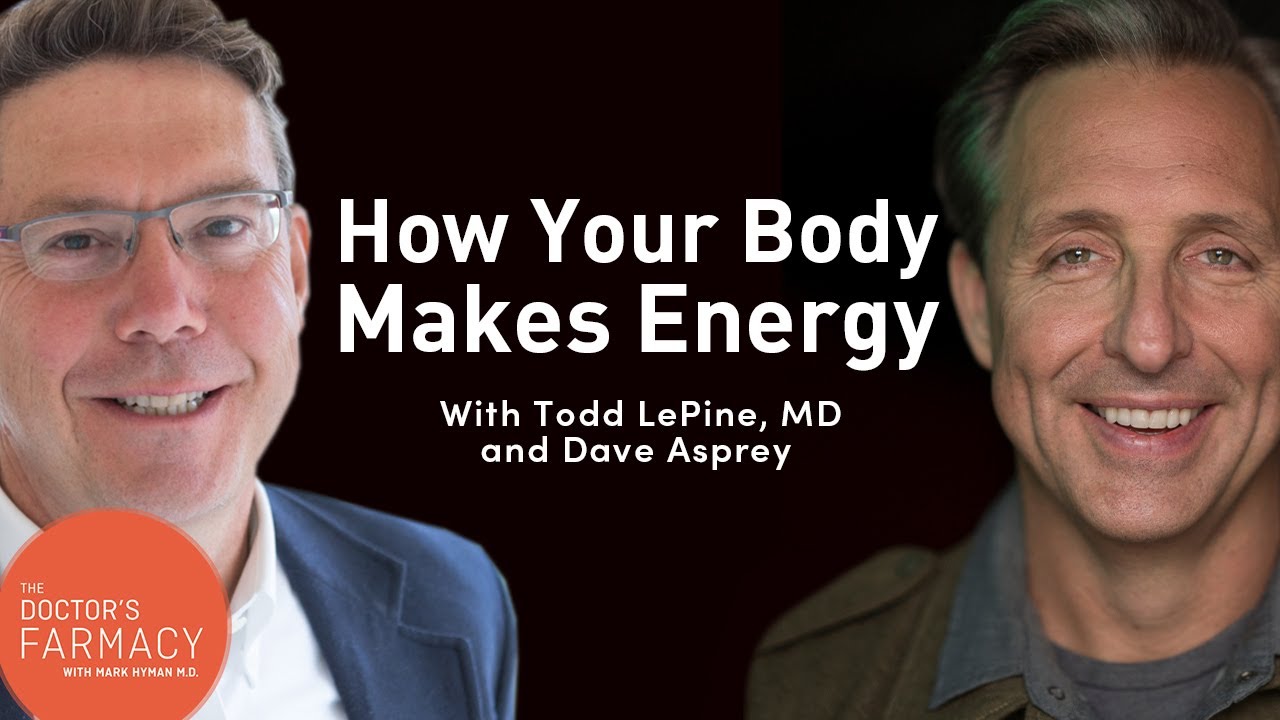 How Does Your Body Make Energy?