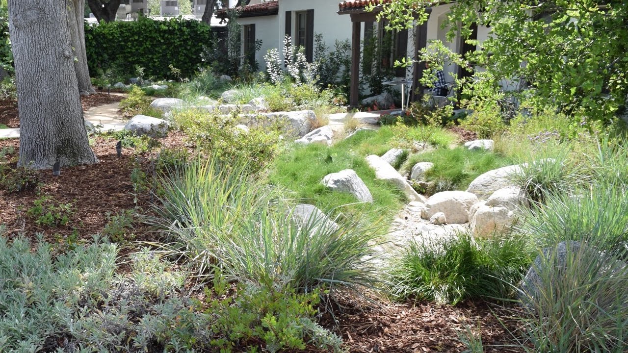 Retrofit to Dry Shade California Native Plants - California Native Dry Shade Garden - Ep.01