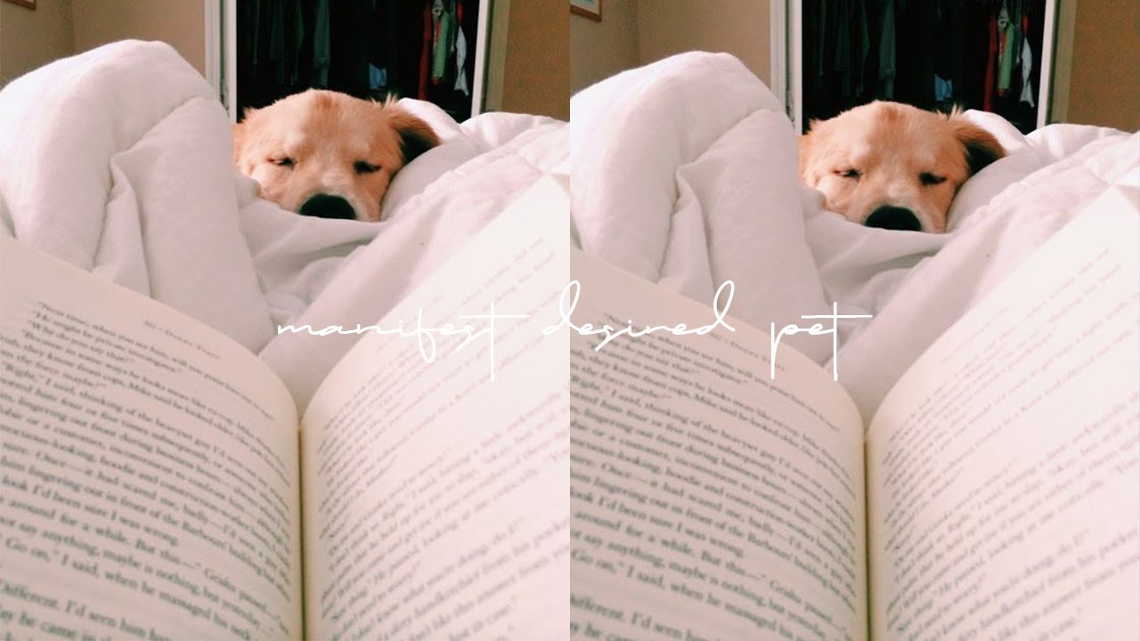 ☾ manifest desired pet sub. //