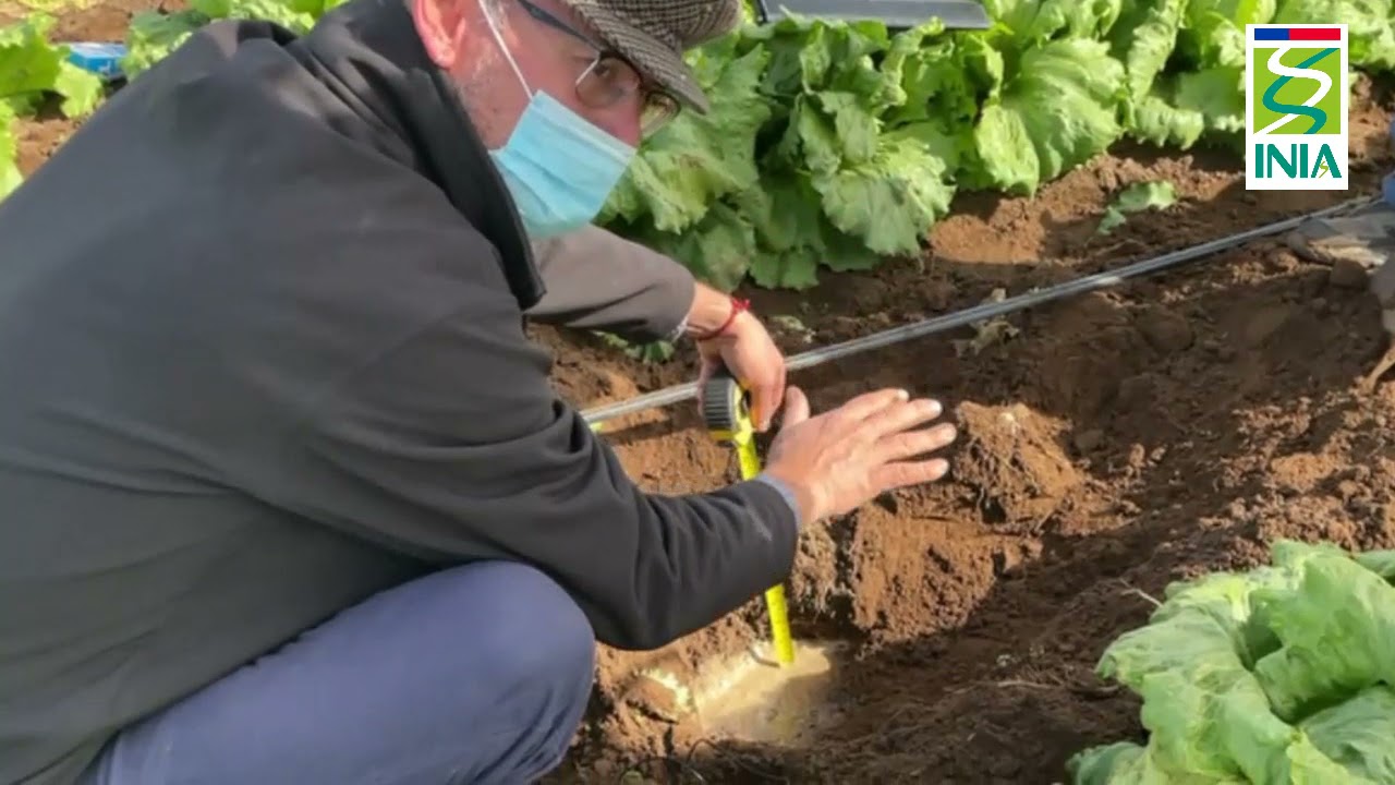 Sondas de humedad en suelo para mejorar la eficiencia h&iacute;drica_proyecto FONTAGRO_Claudio Balbont&iacute;n
