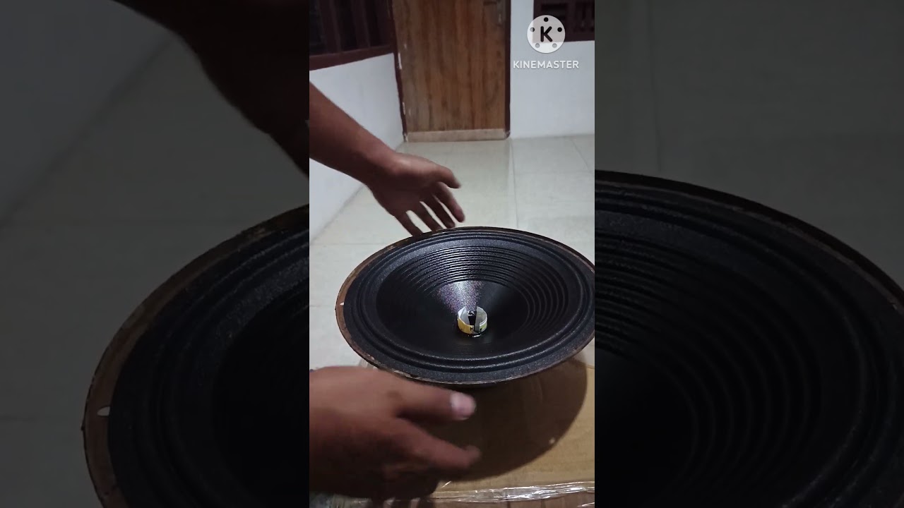 Total Dead Speaker! Try Fixing Voice Coil Yourself! #SpeakerRepair #diy