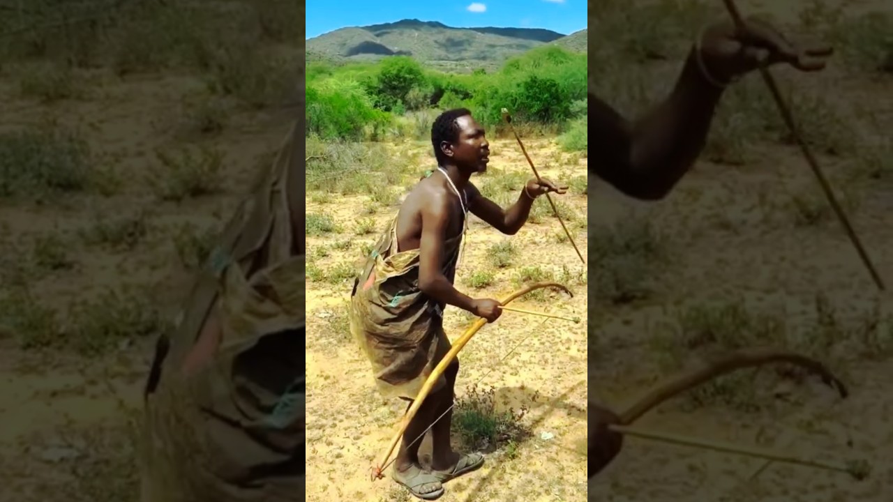 Hadzabe hunters hunt a snake perched on a tree with bow and arrow | African tribe life. #snakehun...
