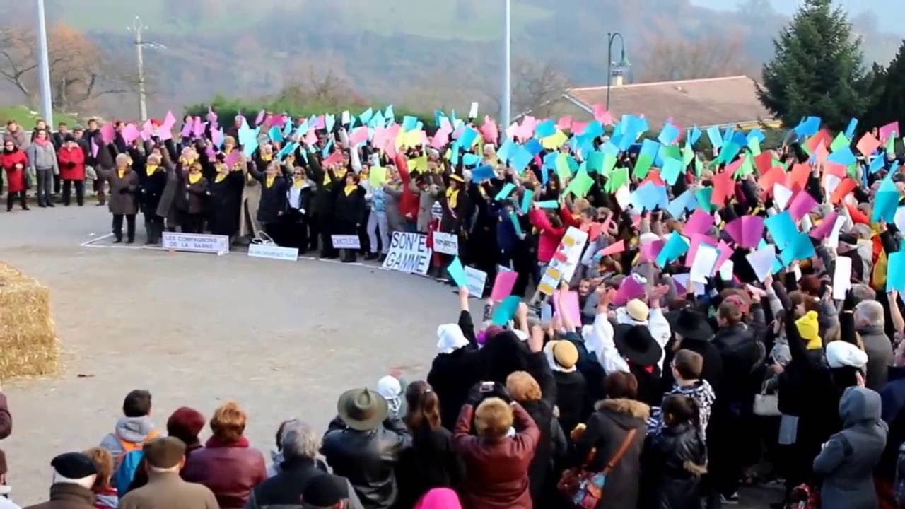 Le Thelethon 2016 à Primarette 38270