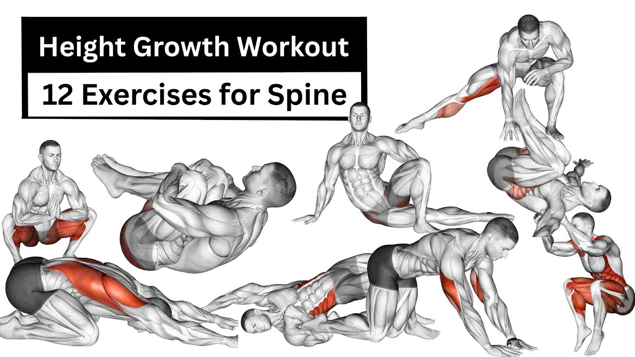 Height Growth Workout at Home | 12 MIN Exercises for Spine & Posture