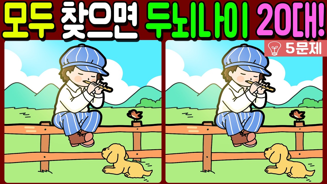 【다른그림찾기/치매예방】🔥차이점 3개 모두 다 찾으면 두뇌나이 20대!【 find difference / 두뇌운동/3개 찾기/5문제/#1399】