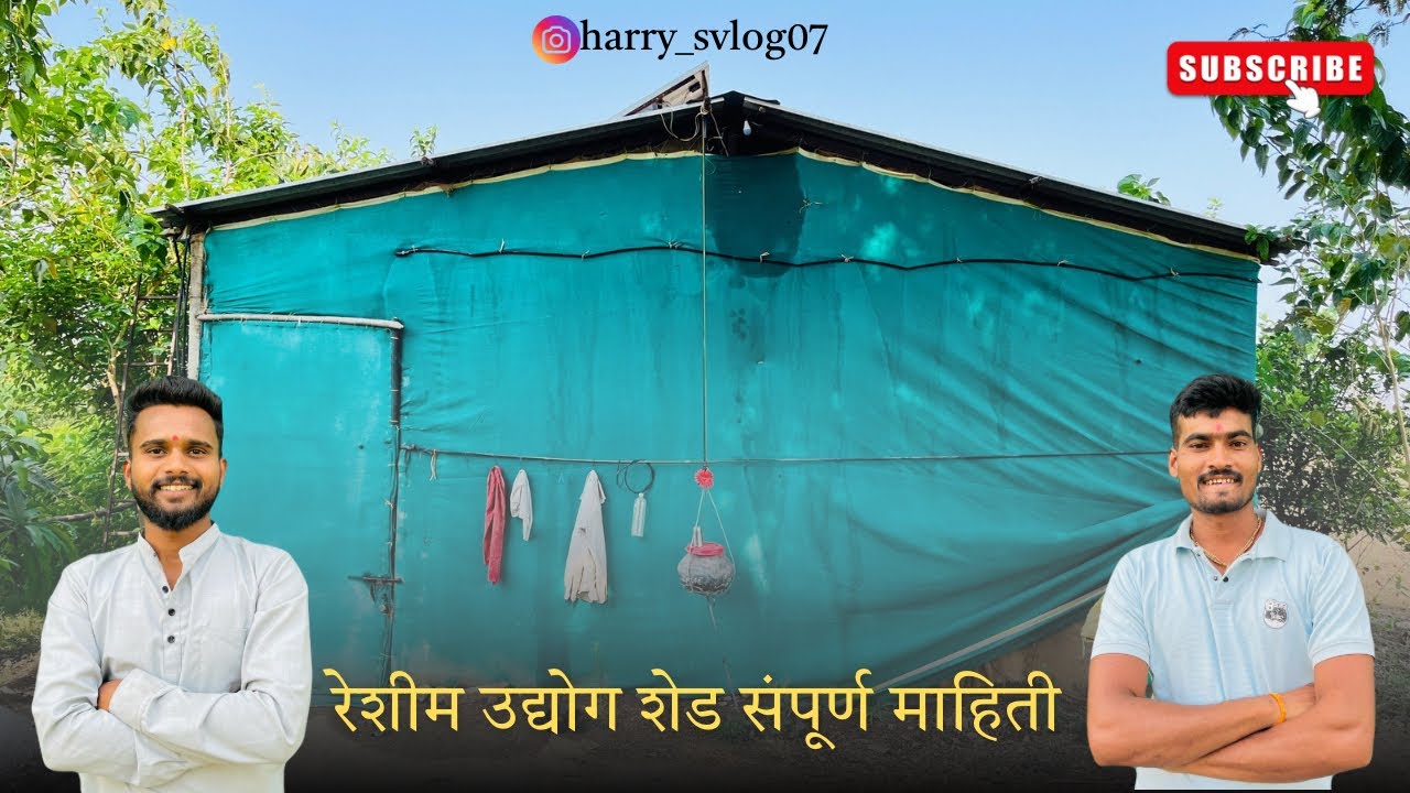 रेशीम उद्योग साठी शेड कस उभा करू शकता | रेशीम शेड साठी संपूर्ण माहिती | रेशीम उद्योग