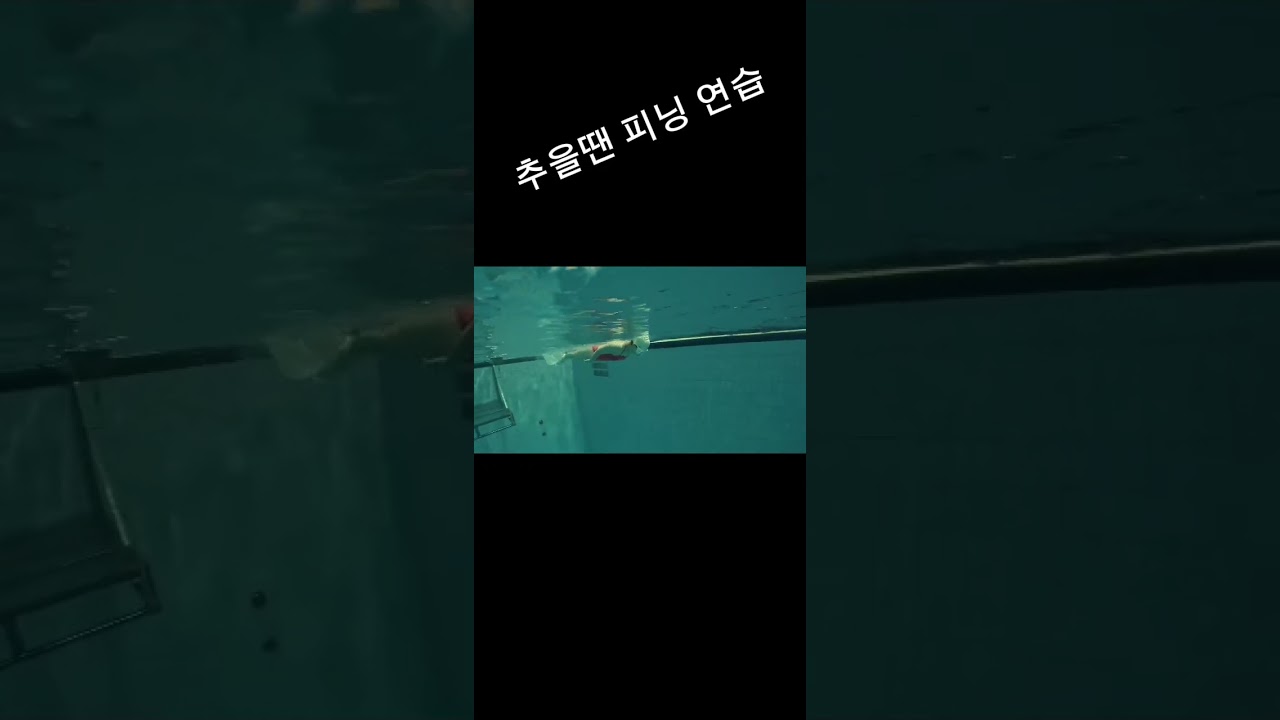추울 땐 피닝 연습 #프리다이빙 #피닝연습 #아빠가사준수영복 #나이키스윔 #나이키하이드라스트롱 #하이드라스트롱멀티그래픽참스크로스백 #참스포인트 #내수영복이젤이쁨ㅋ #남부국제수영장