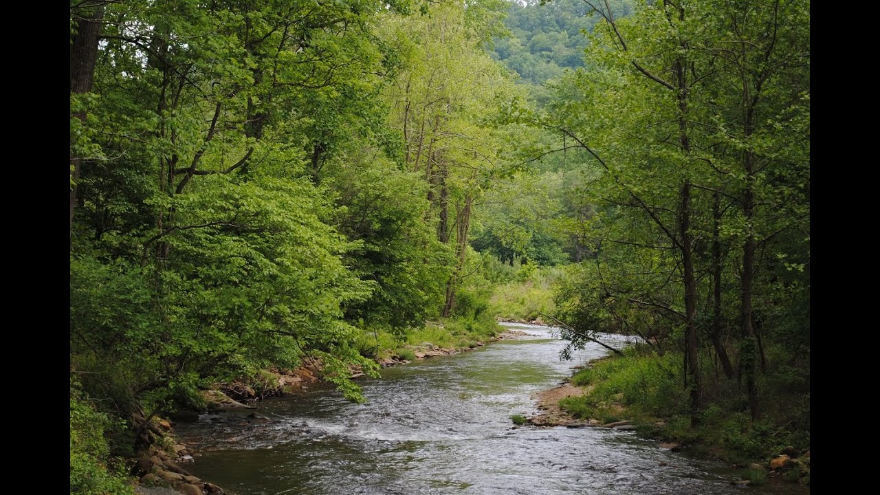 Mills River Watershed- The River Connects Us