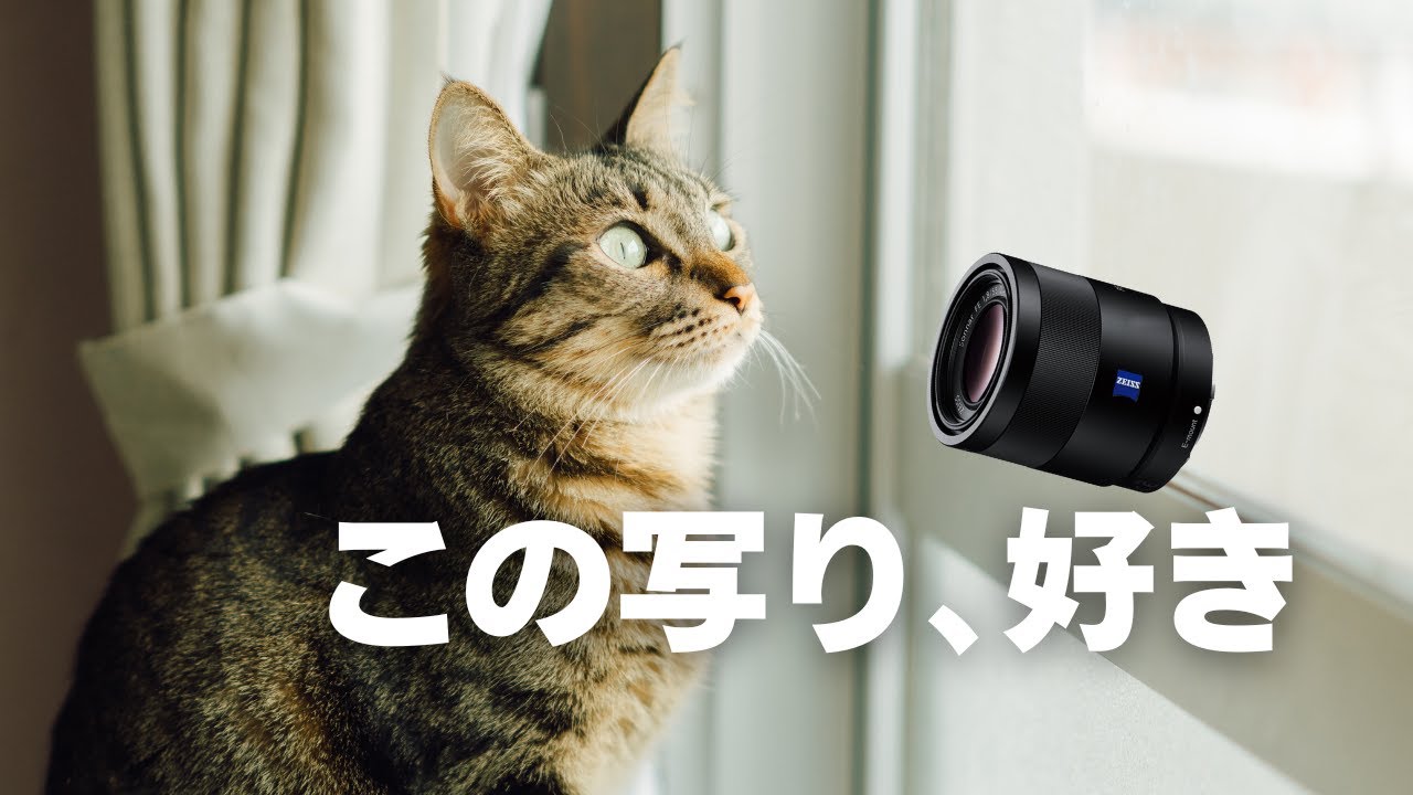 【絶対に後悔しない】ZEISS 55mm F1.8は“値段以上”の写り。編集前後の作例アリ📸