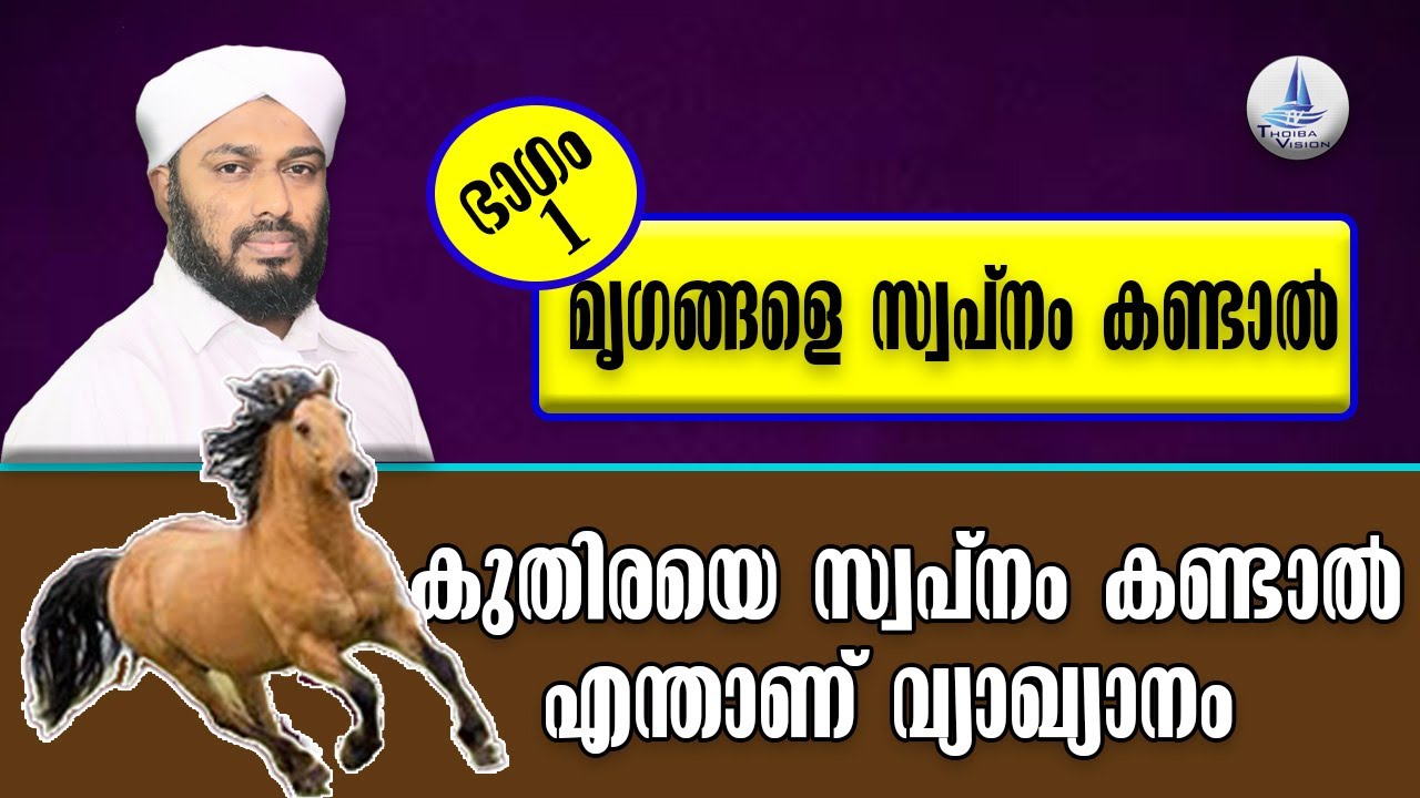 കുതിരയെ സ്വപ്നം കണ്ടാൽ എന്താണ് വ്യാഖ്യാനം / What is the interpretation of dreaming of a horse