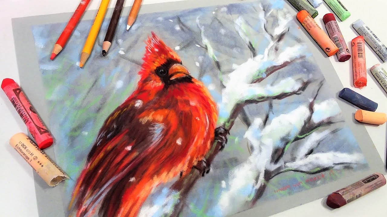 LIVE Soft Pastel Painting of a Cardinal Tutorial 1pm ET 2/8/19