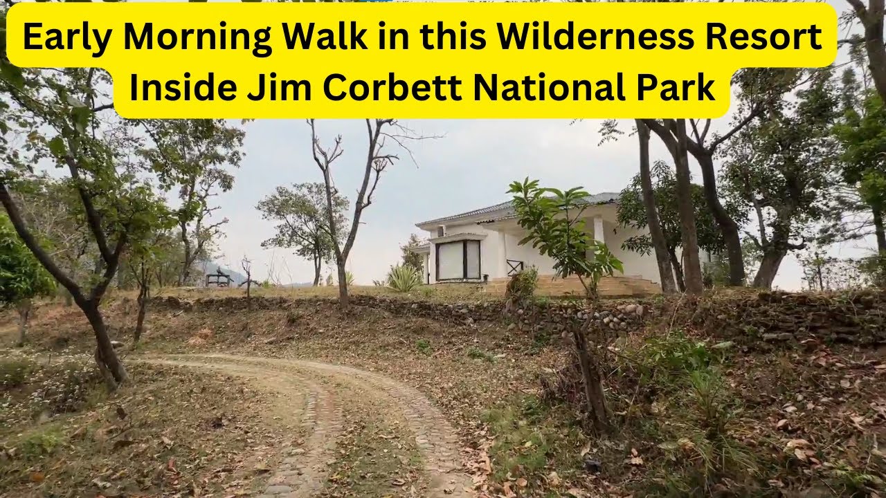 Early Morning Walk in this Wilderness Resort Inside Jim Corbett National Park