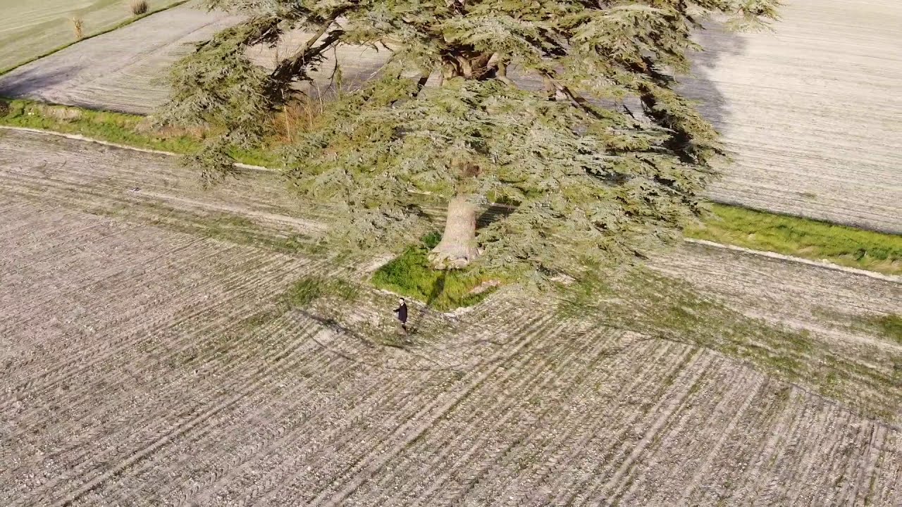 Un c&egrave;dre &agrave; Ch&acirc;tellerault (86100)