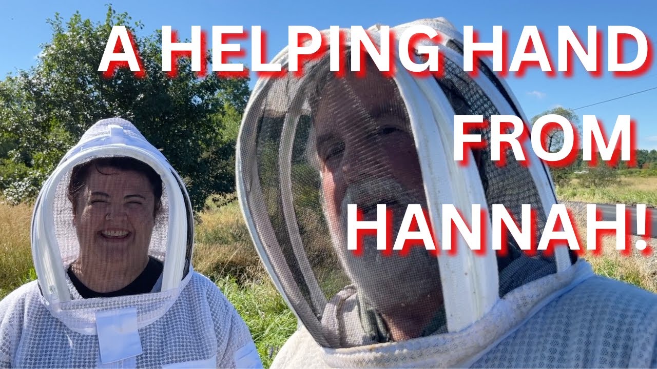 A HELPING HAND FROM HANNAH!