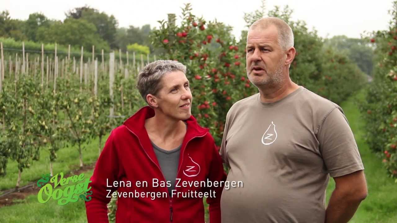 Zevenbergen Fruitteelt - Peren en appels