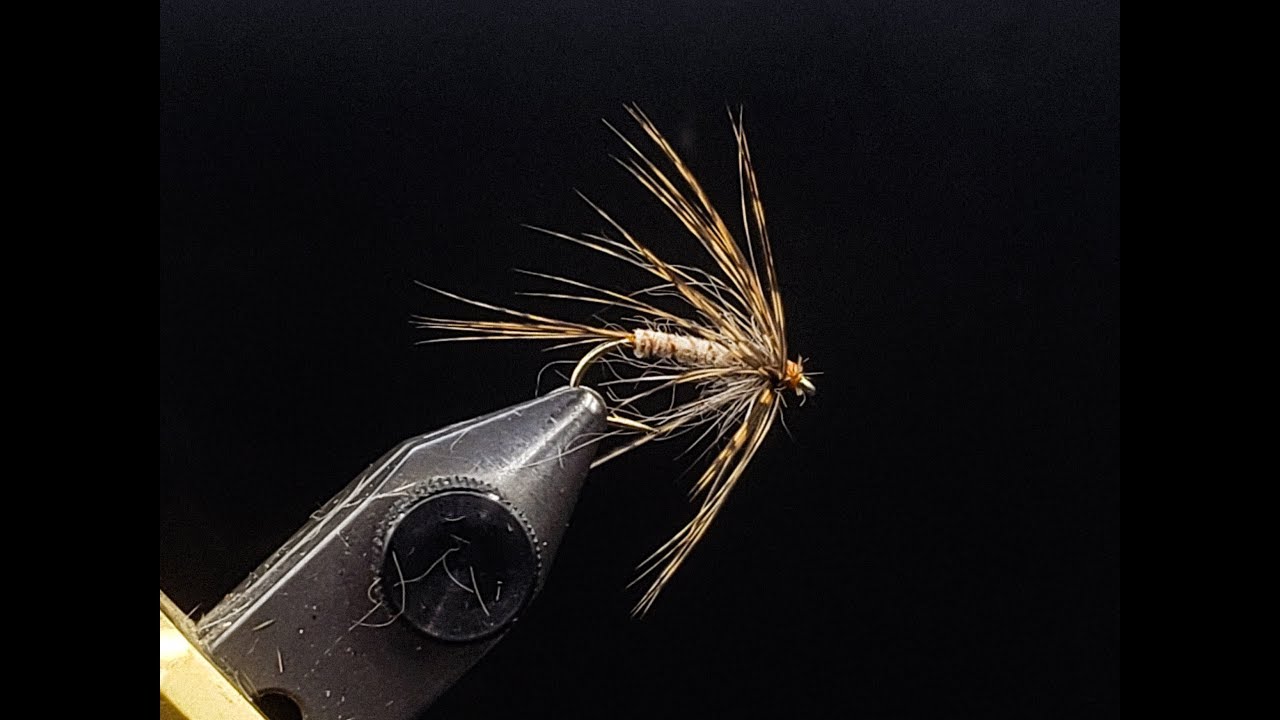 Fly Tying:  March Brown Soft Hackle