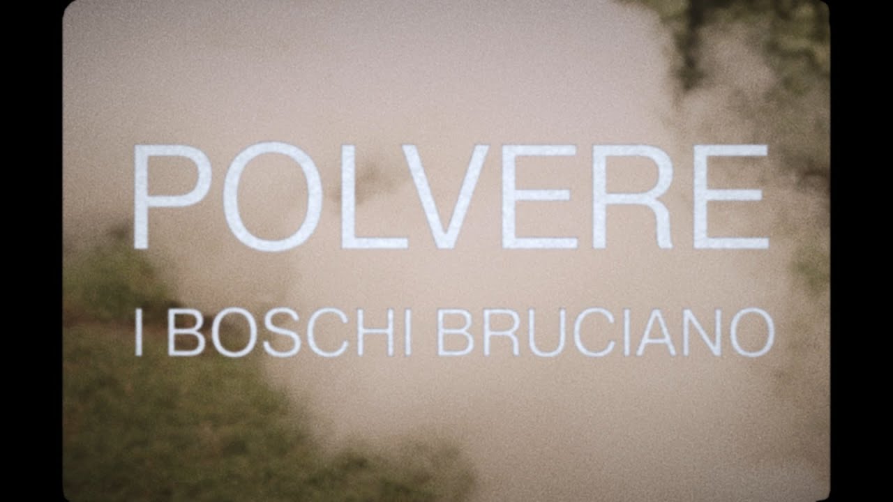 I Boschi Bruciano - Polvere