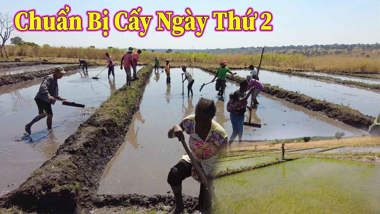Linh Philip || Ngày Thứ 2 Cho Vụ Mùa Mới Giữa Mùa Khô Hạn