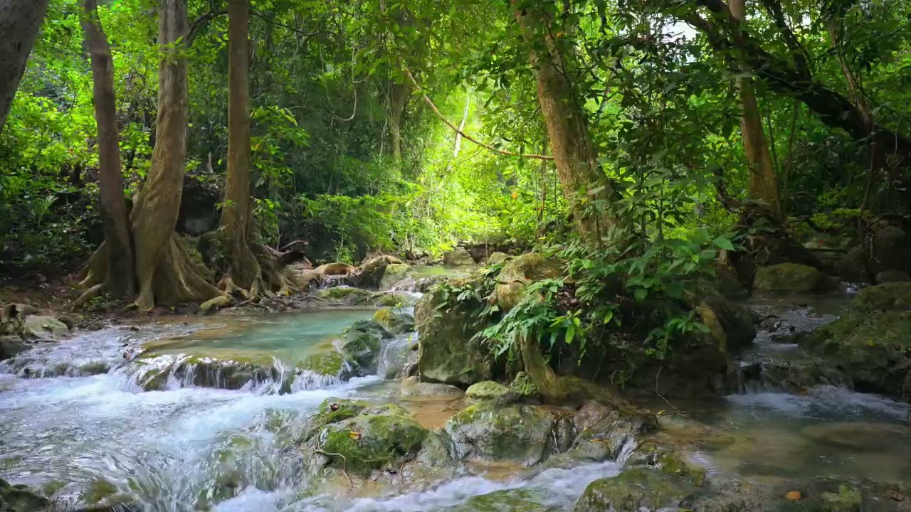 Gentle Water Stream 60 Minutes   SOUND Wave -Theta Binaural
