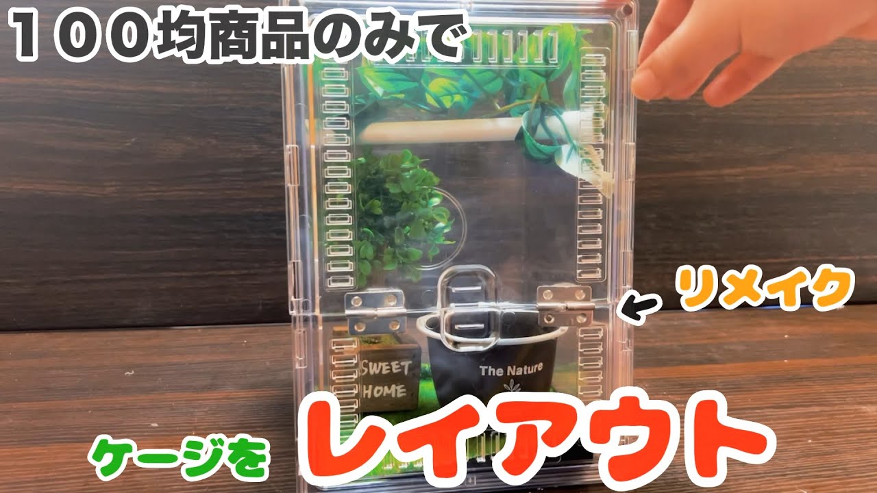 【DAISO】ツイッターで話題！？ １００均飼育ケースを簡単リメイク