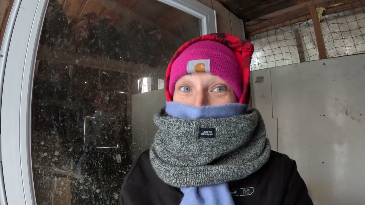 Another COLD day on the FARM! 