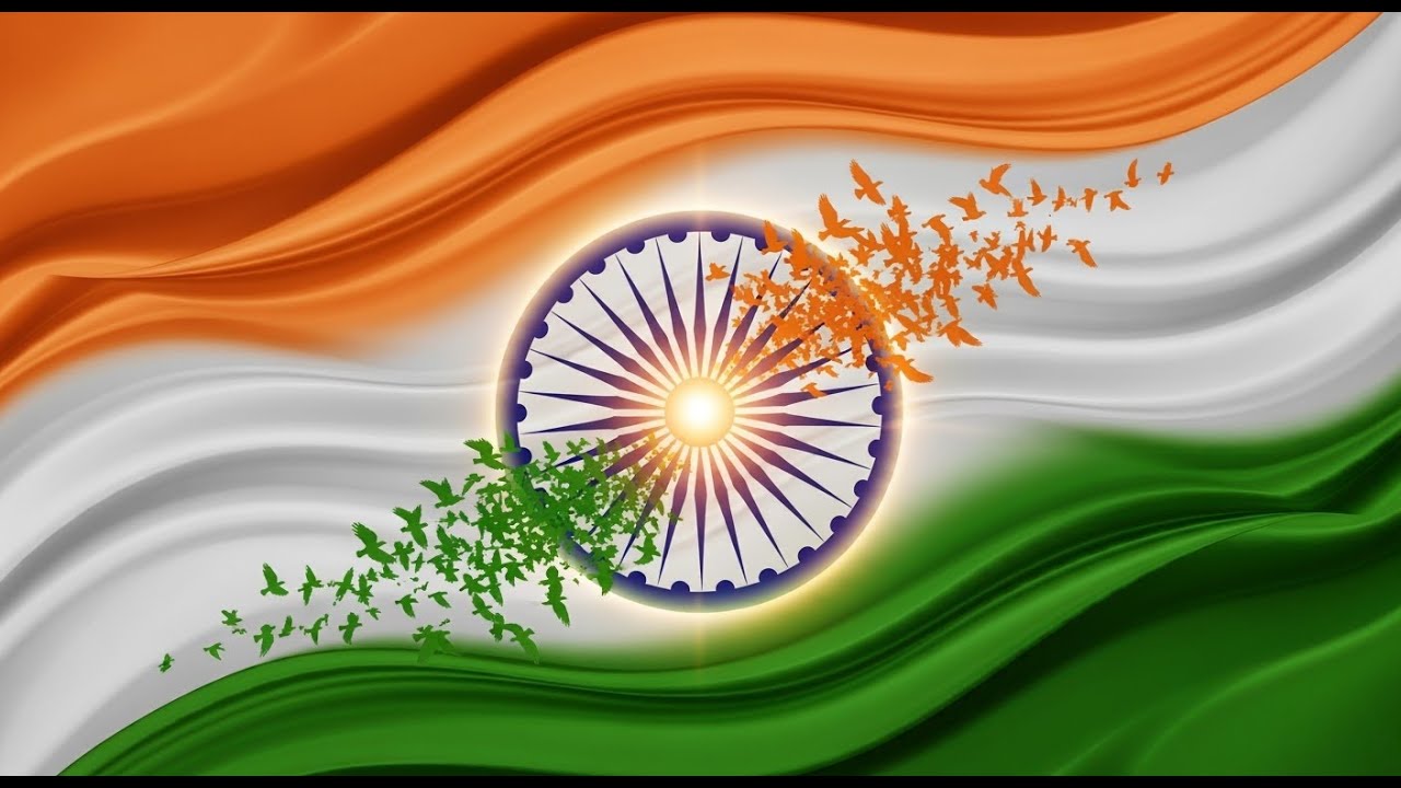 Performance by Gurukulite on Independence Day  #youtubevideo #youtube   #independenceday #trending