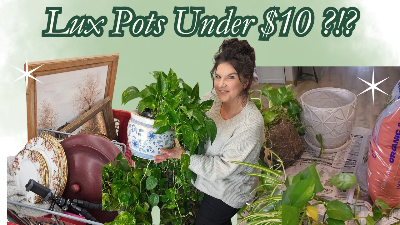 Luxury Planters for Under $10 | THRIFTED Upgrade That Instantly Elevated My Plants!