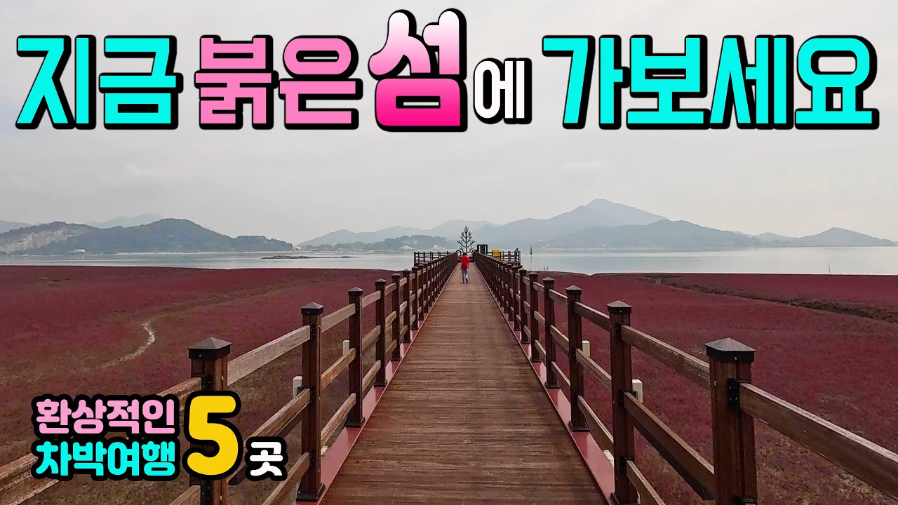 강화도 석모도 지금이 절정, 어류정항 주차하고 바로  차박낚시 수돗가 수세식화장실, 붉은 보라빛 보물섬과 5곳, 민마루해변 장구너머항 칠면초군락지 보문사