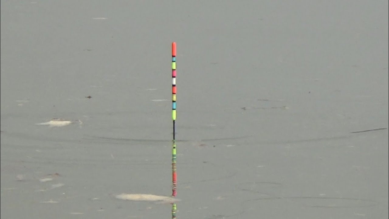 Bahagia Kalo Dapat Spot Mancing Seperti Ini... 