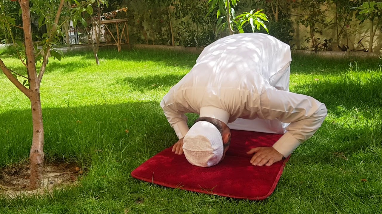 الشيخ الدكتور سالم عبد الجليل يبين بالصوت والصورة كيفية صلاة عيد الفطر المبارك في بيوتنا ..