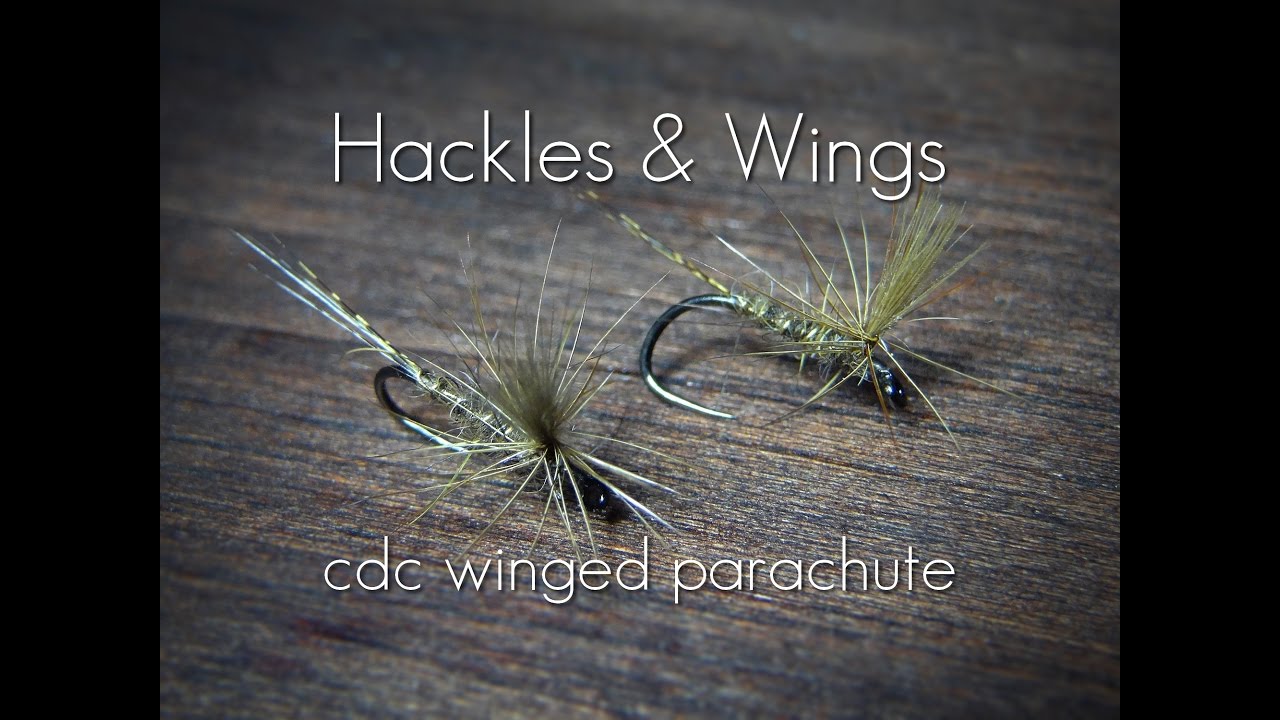 Fly Tying CdC Winged Parachute | Hackles & Wings