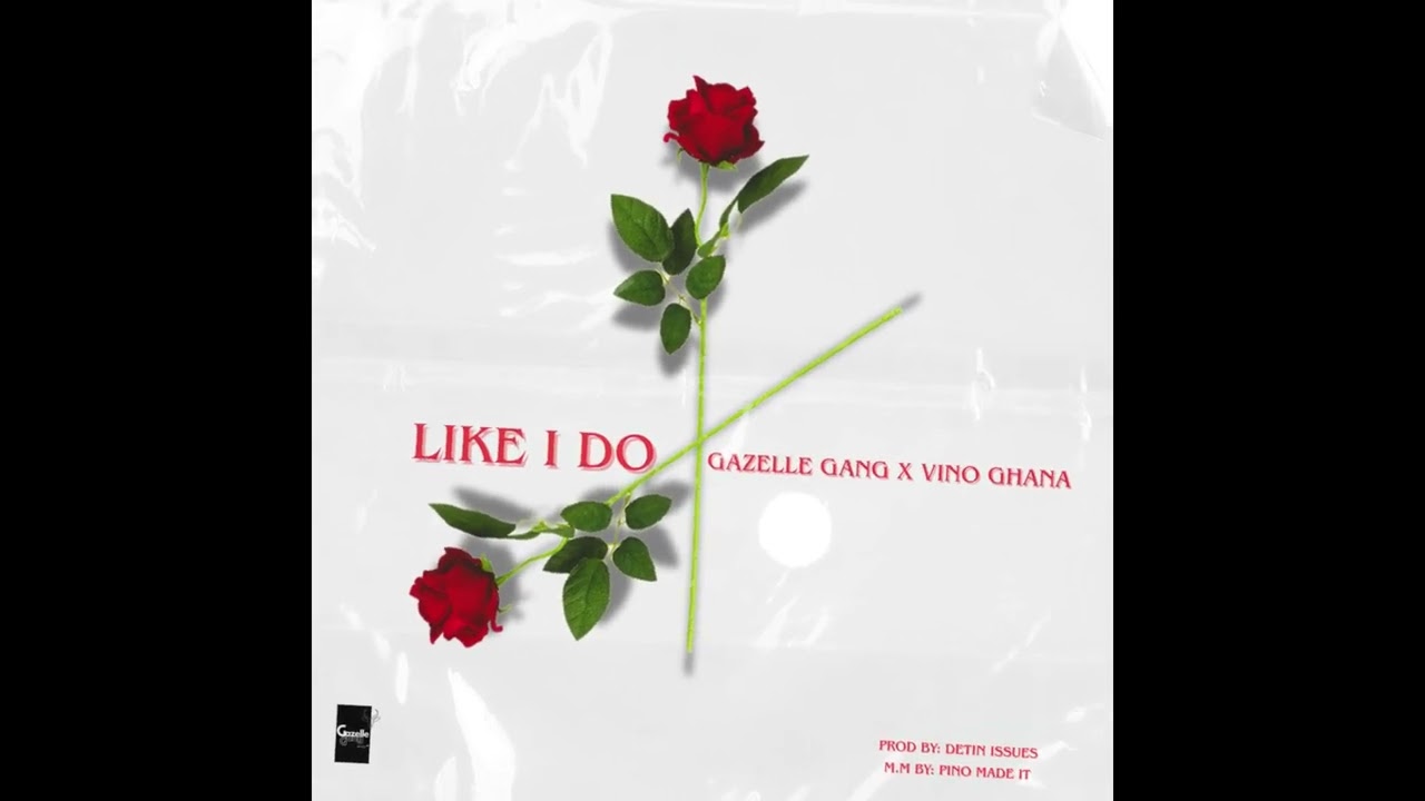 Gazelle Gang-Like I Do x Vino Ghana (Audio Visual)