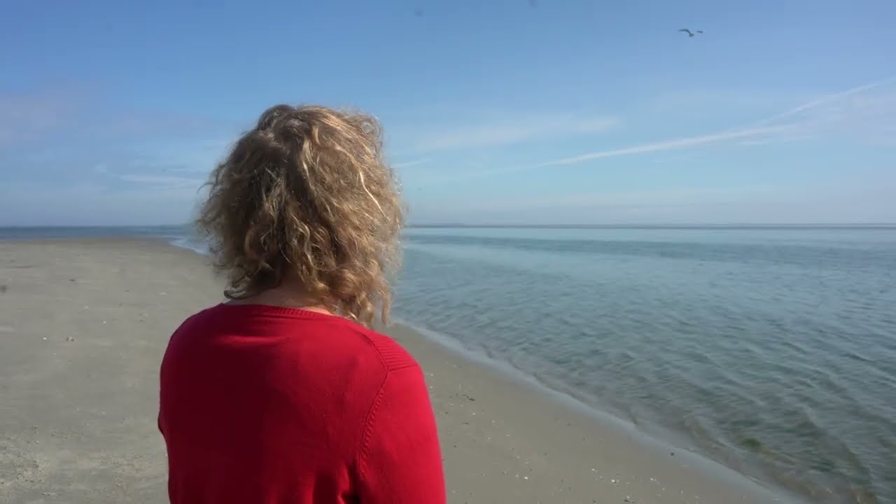 Linde Nijland - The Island