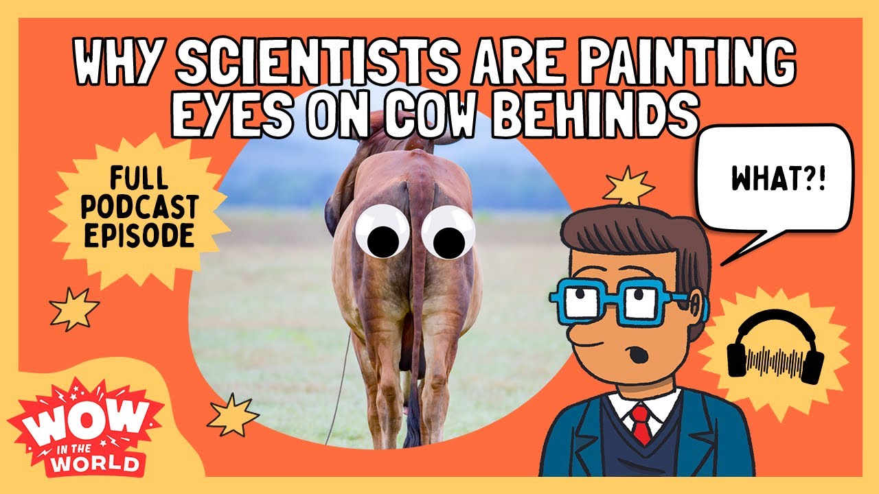 Why Scientists are Painting Eyes on Cow Behinds | Wow in the World | Kids Podcast | Science for Kids