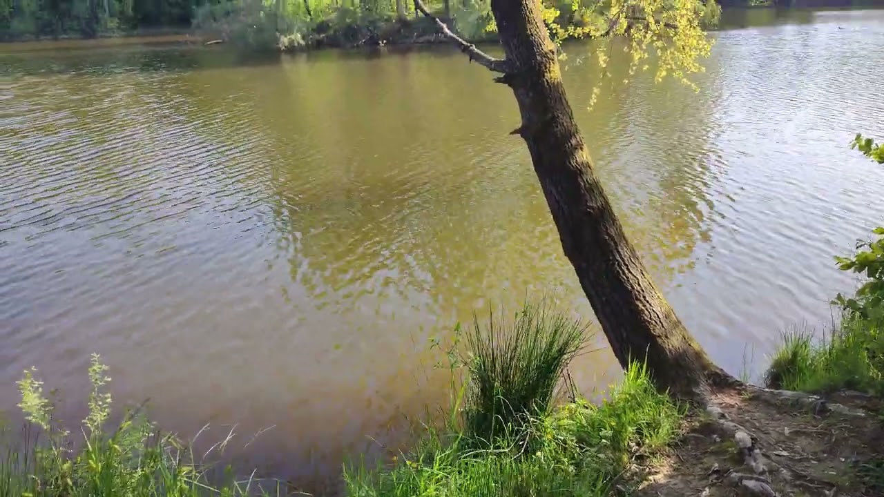 Моршин , відпочинок .