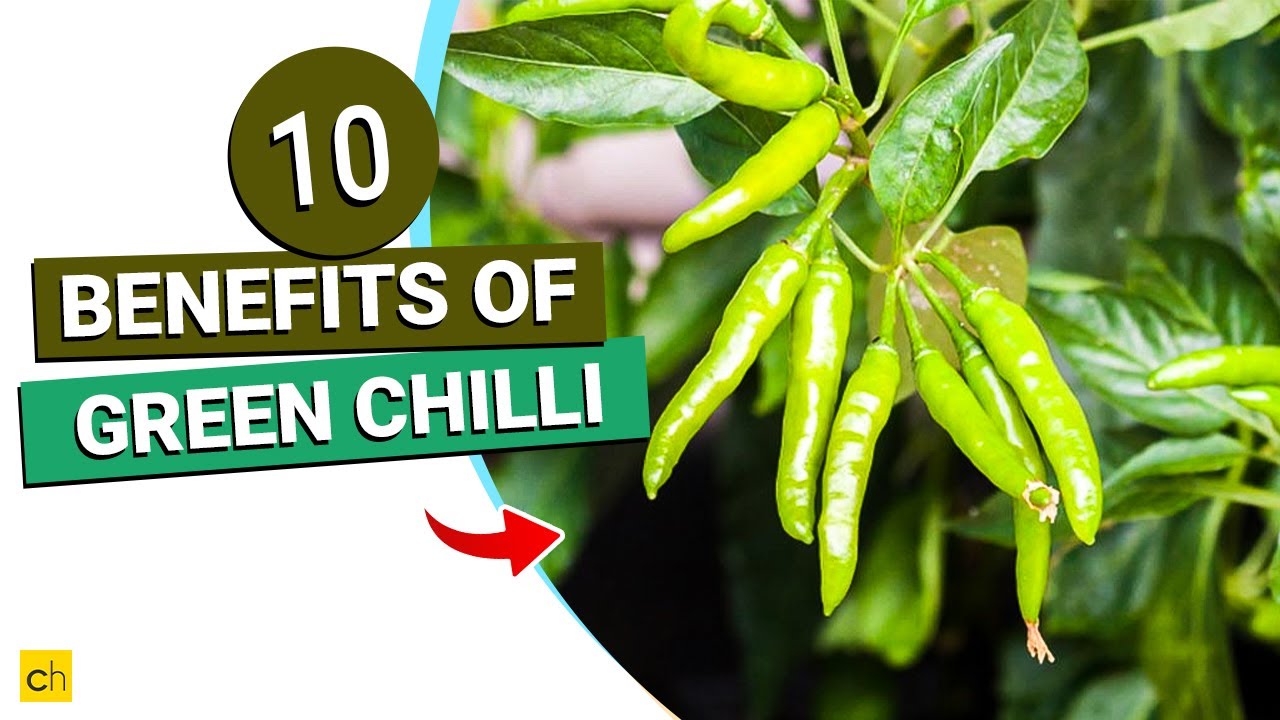 Do You Know Amazing 10 Benefits of Green Chillies - Credihealth #viral #viralvideo #healthbenefits