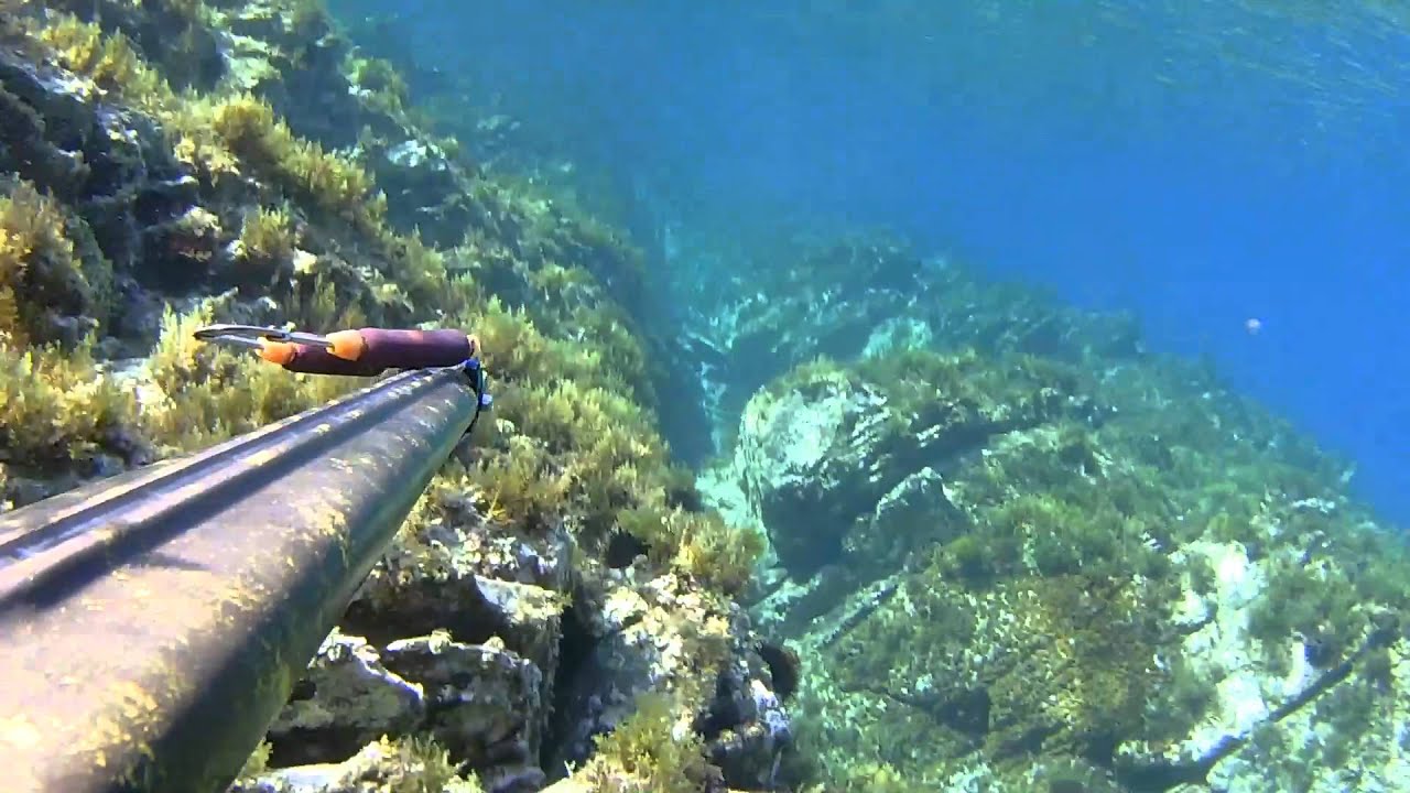 pesca all'agguato dalla superficie