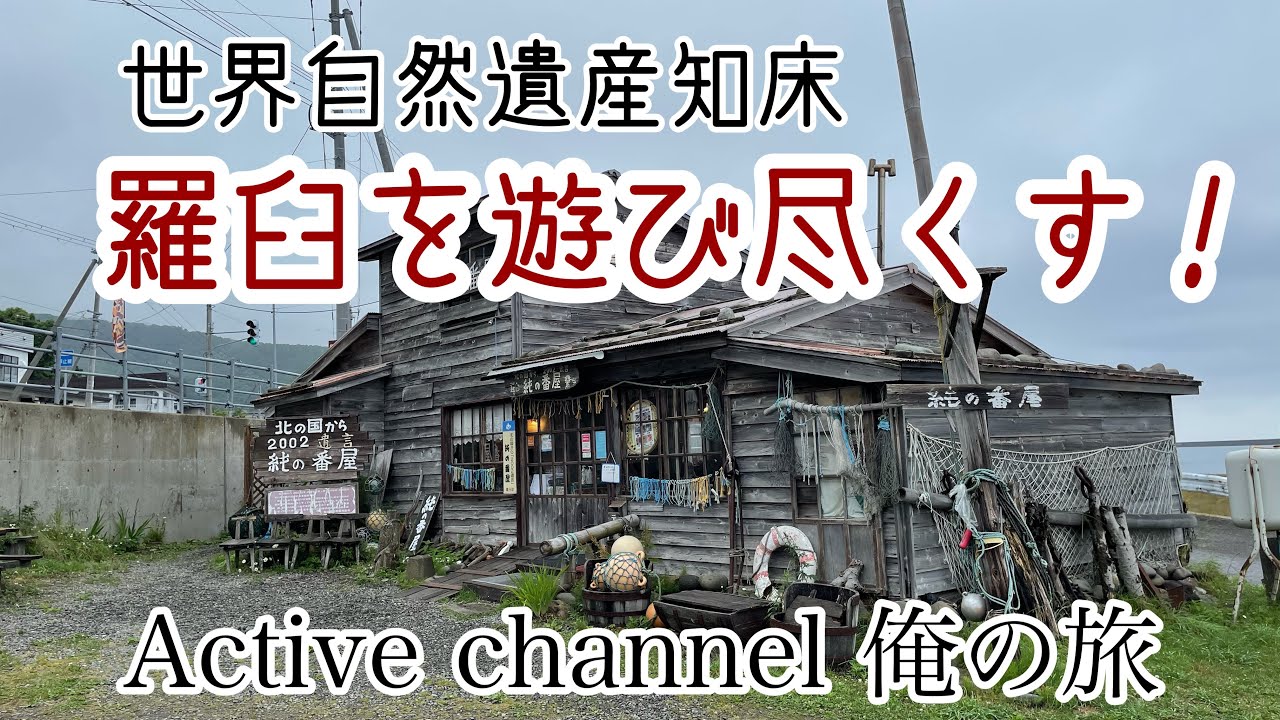 世界自然遺産知床 羅臼を遊び尽くす