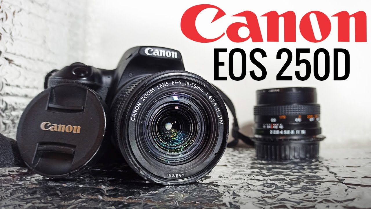 'ÖNEMLİ DETAYLAR' 1 Yıllık Kullanıcı Deneyimi ile Canon EOS 250D İnceleme ve Anlatım 📸