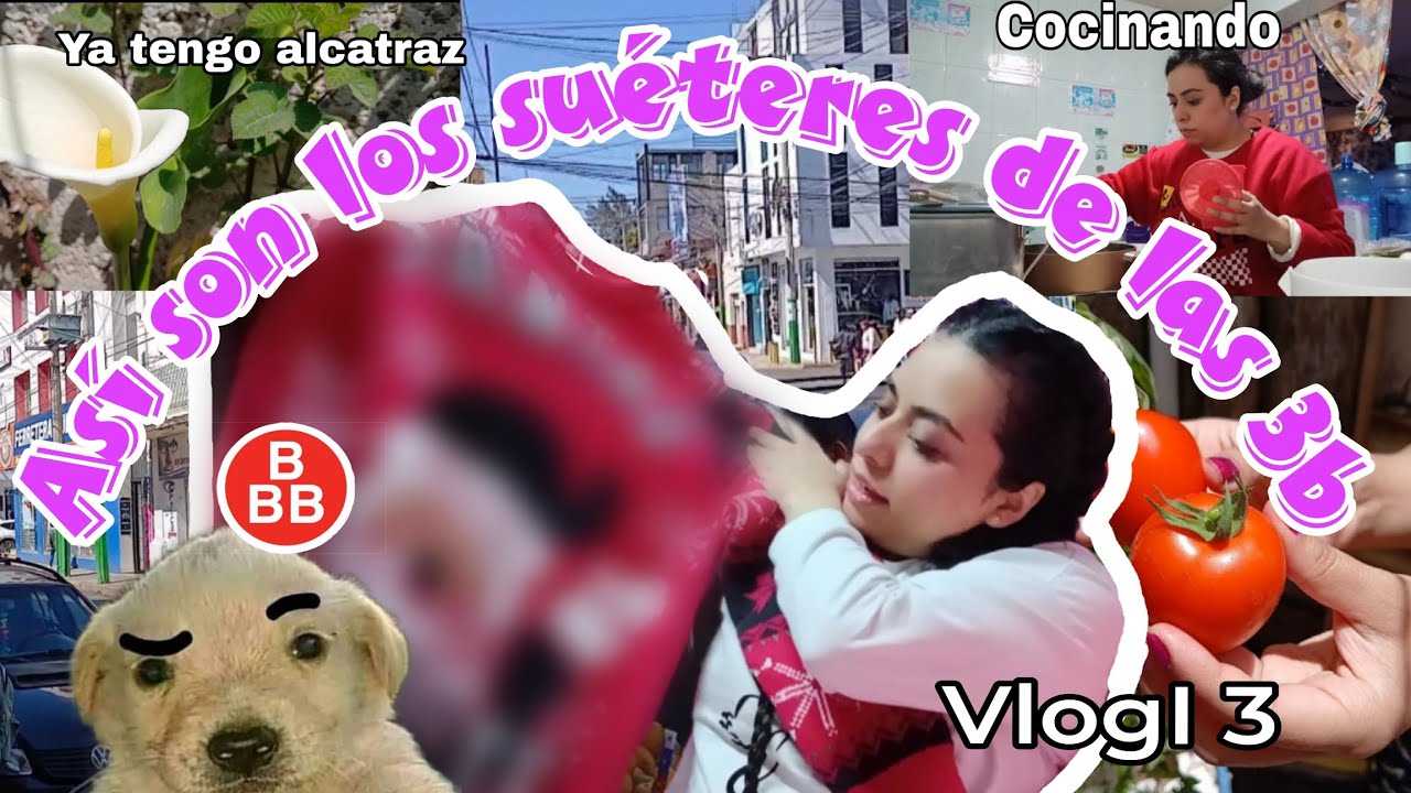 Vlog| COMPRE LOS SUÉTERES DEL 3B 😬 cocinando algo rico😋 así va mi alcatraz 💐 