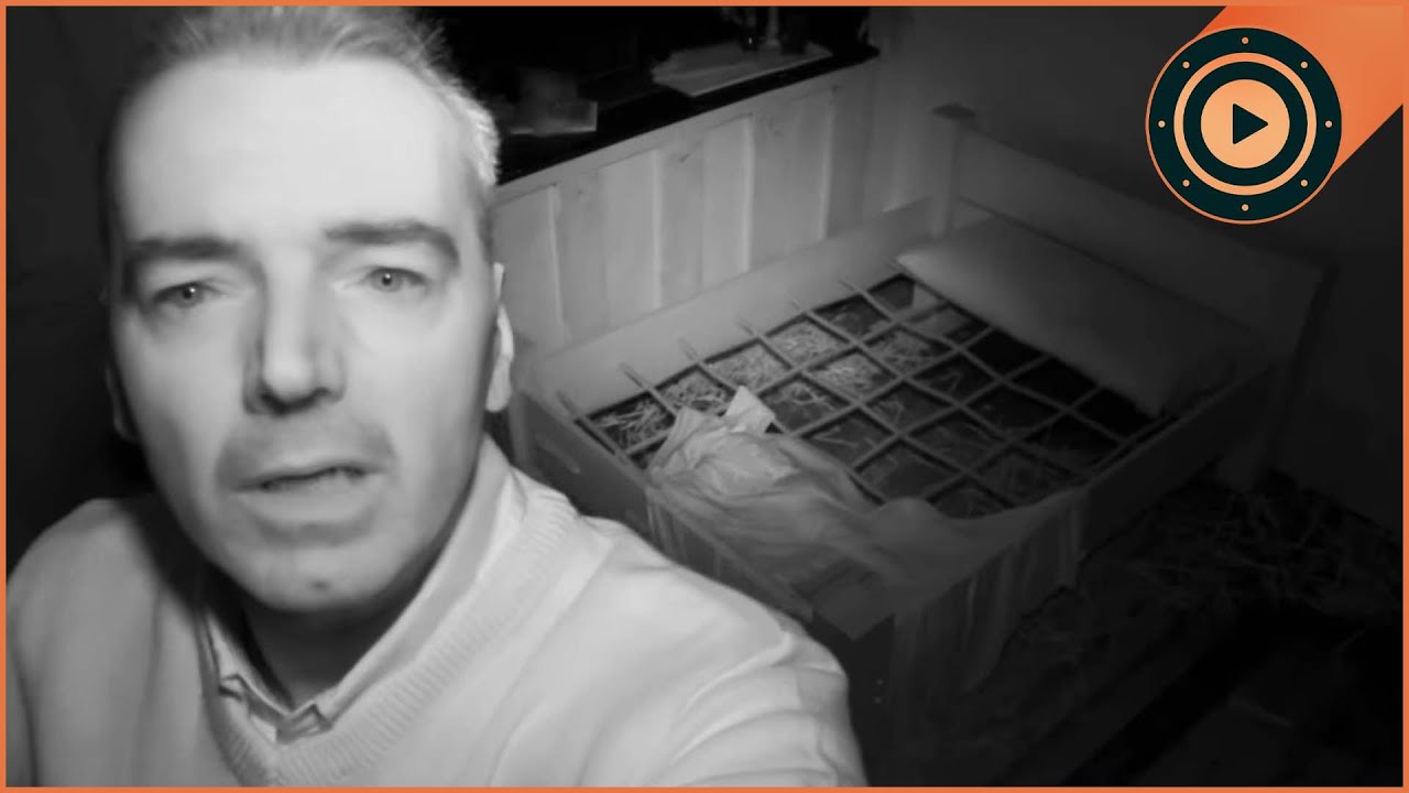 The Entity of Oak House: Physical Attacks and Poltergeist Activity