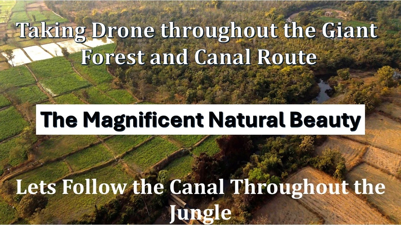The Jungle and Canal View With Drone || Exploring Natural Beauty