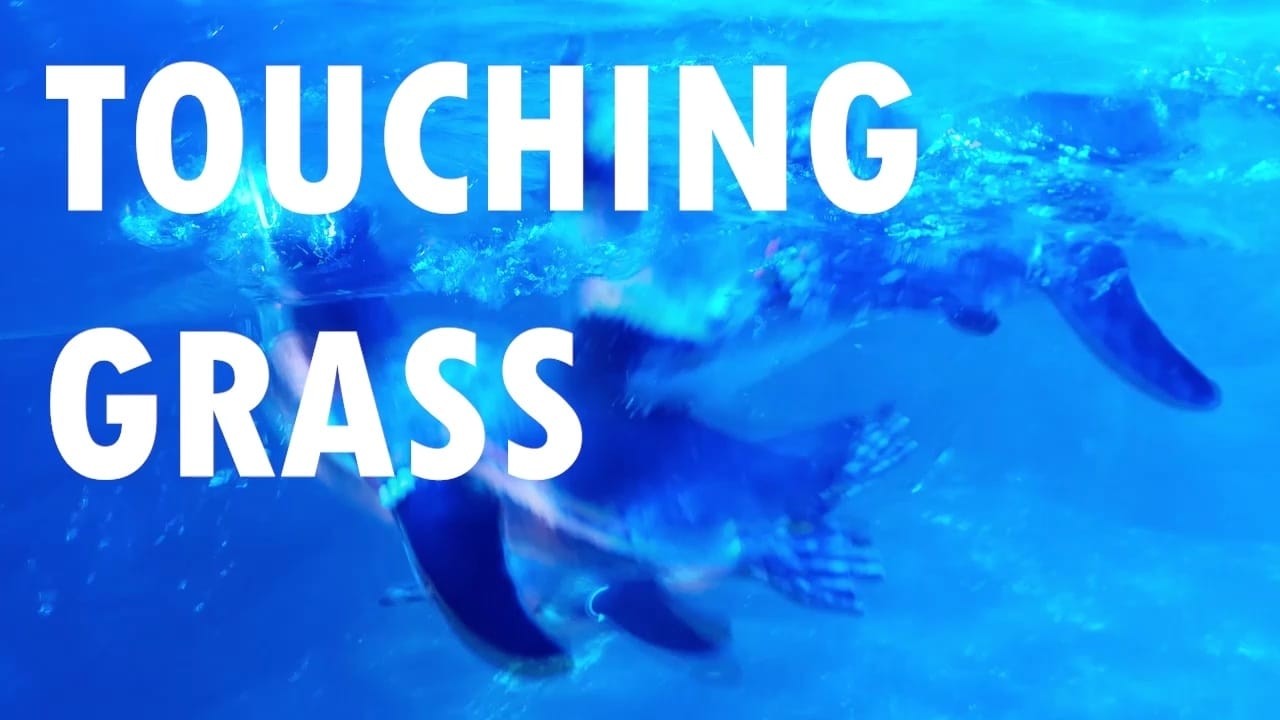 Finally Touching Grass (We went to the Aquarium)